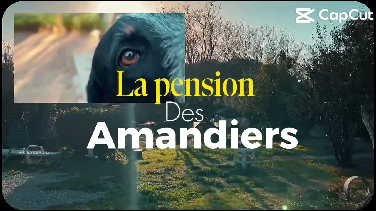 Pension des amandiers — photo