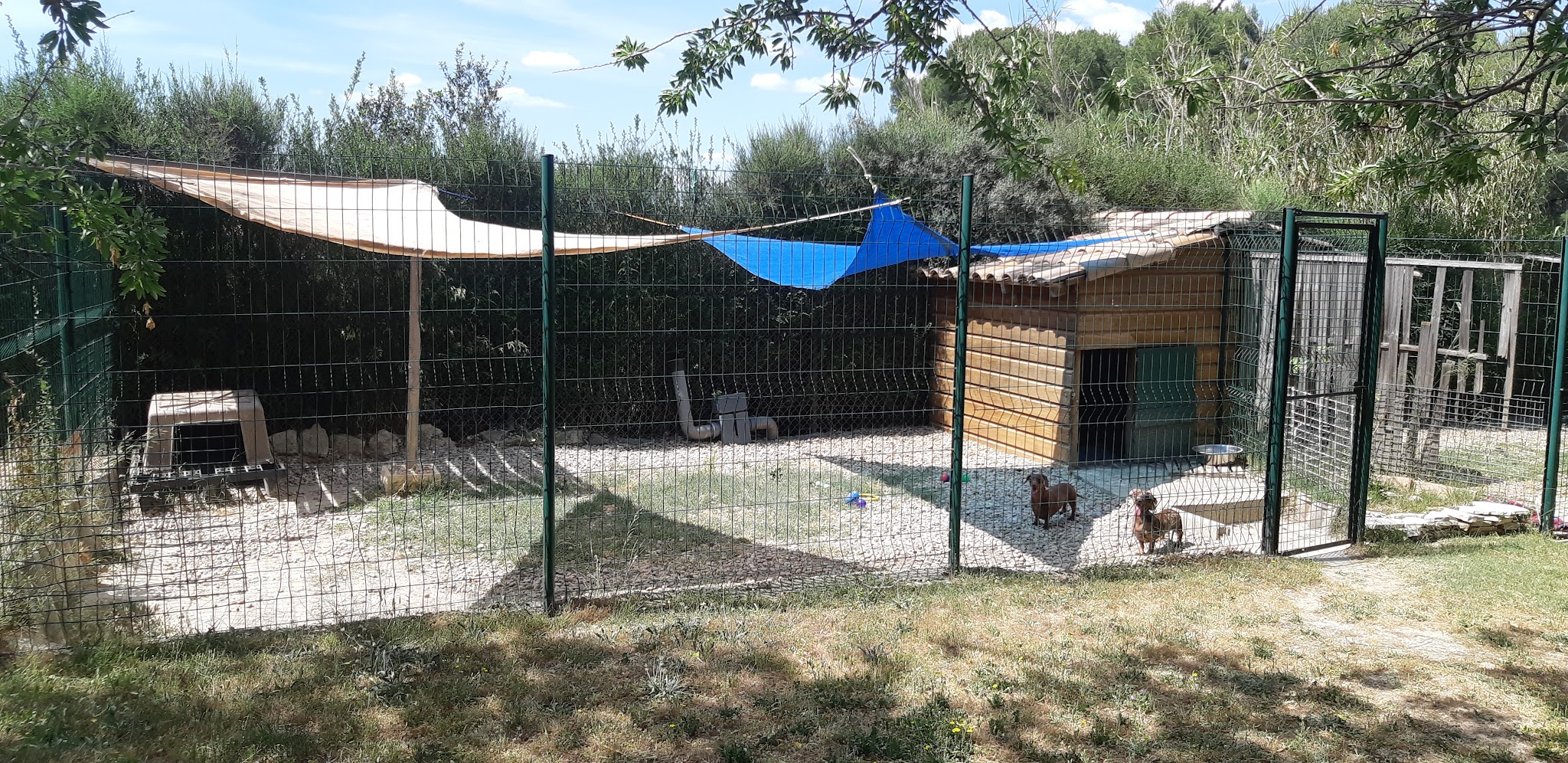 Pension des amandiers — photo