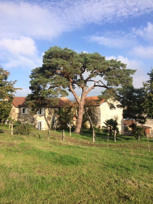 Pension Chevaux Moulin de la Ville Chamblon — photo