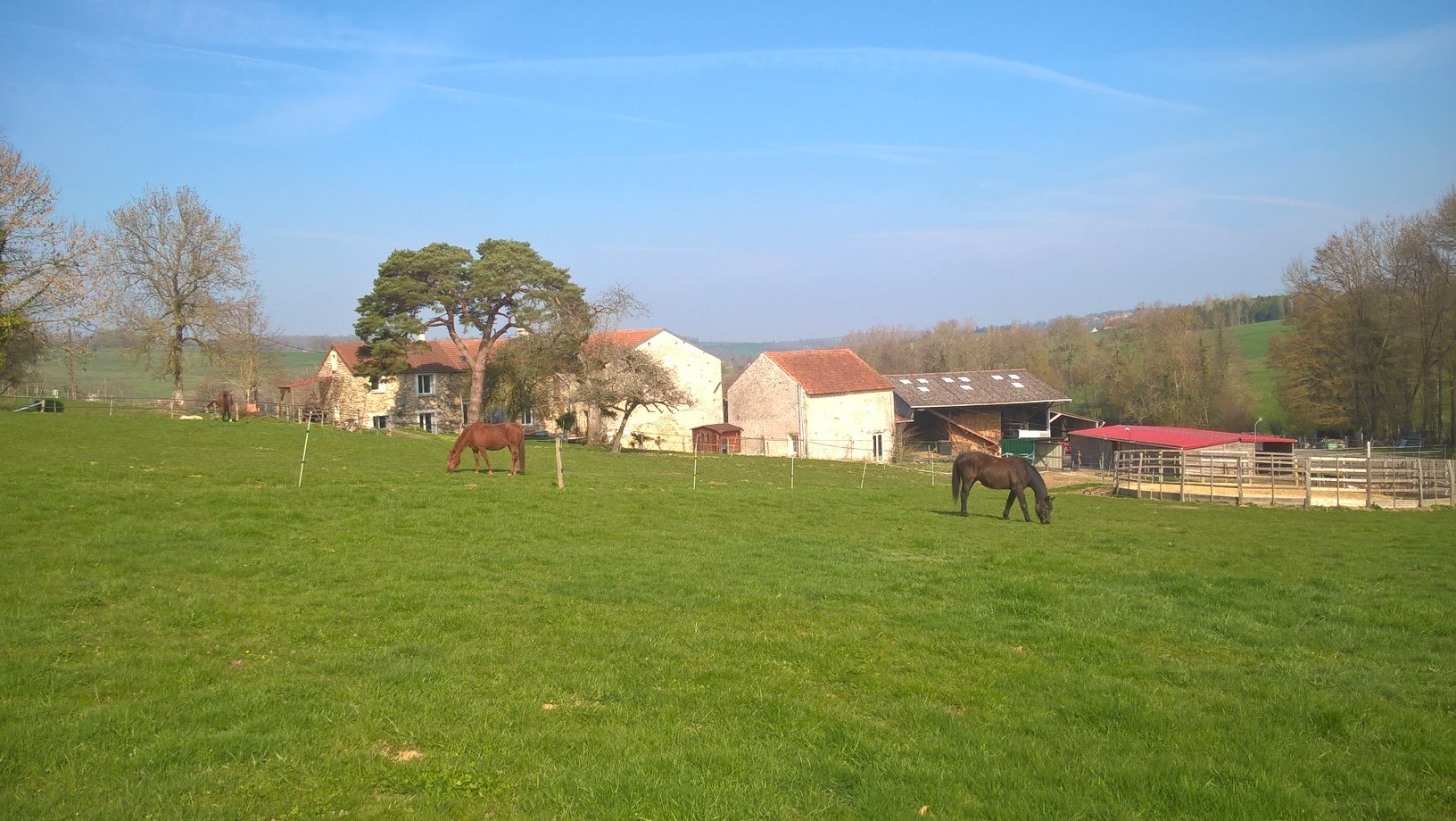 Pension Chevaux Moulin de la Ville Chamblon — photo