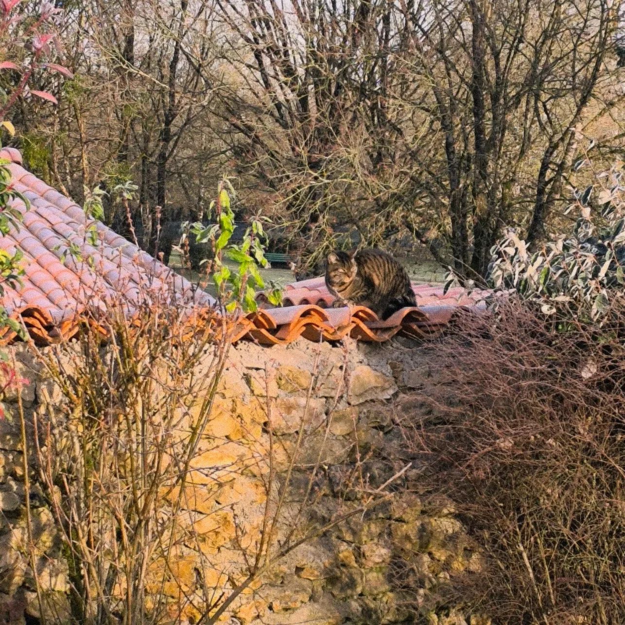 La Balade Mélusine — photo