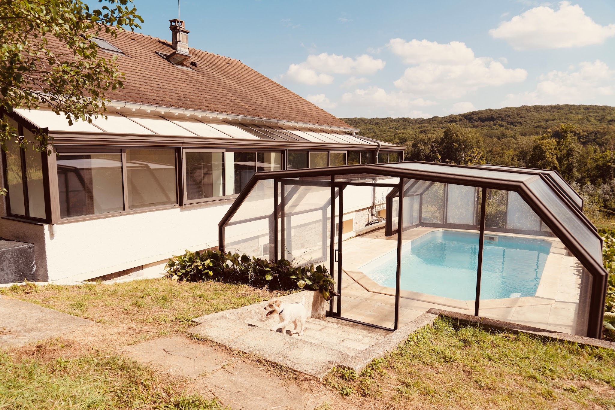 Dog Valley — photo