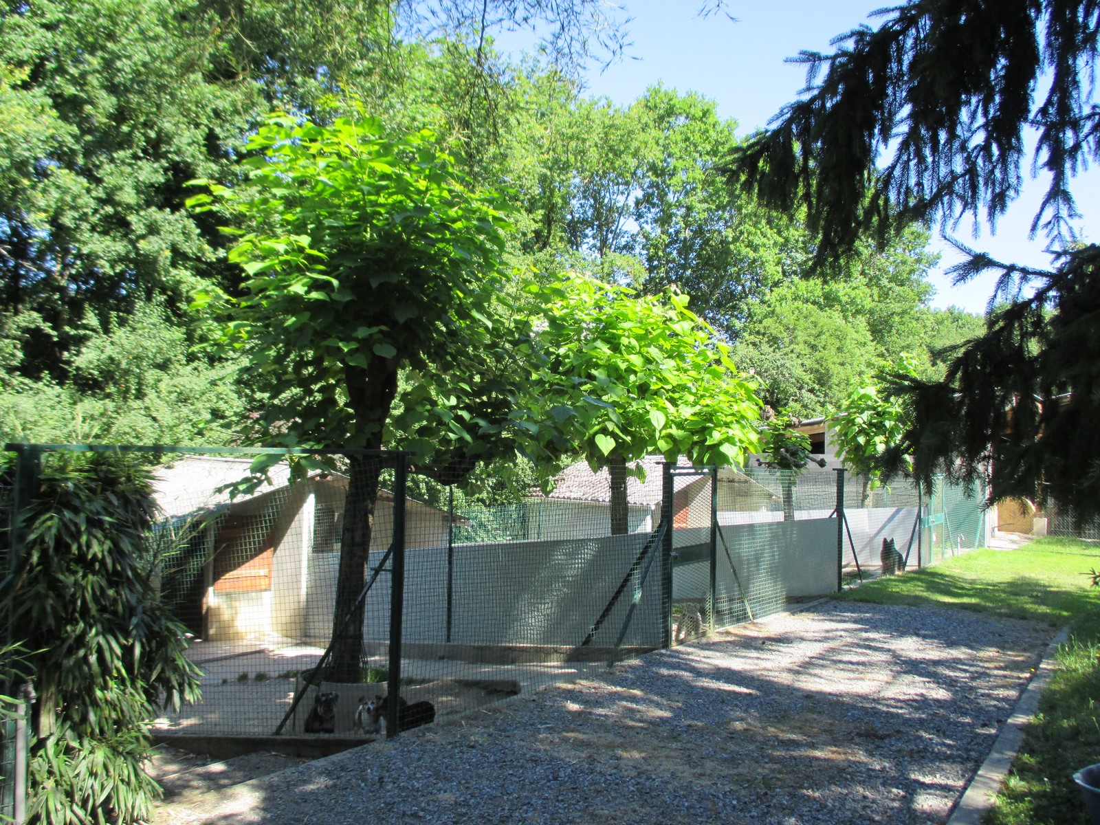 Anim'Hôtel Pension Canine et Féline