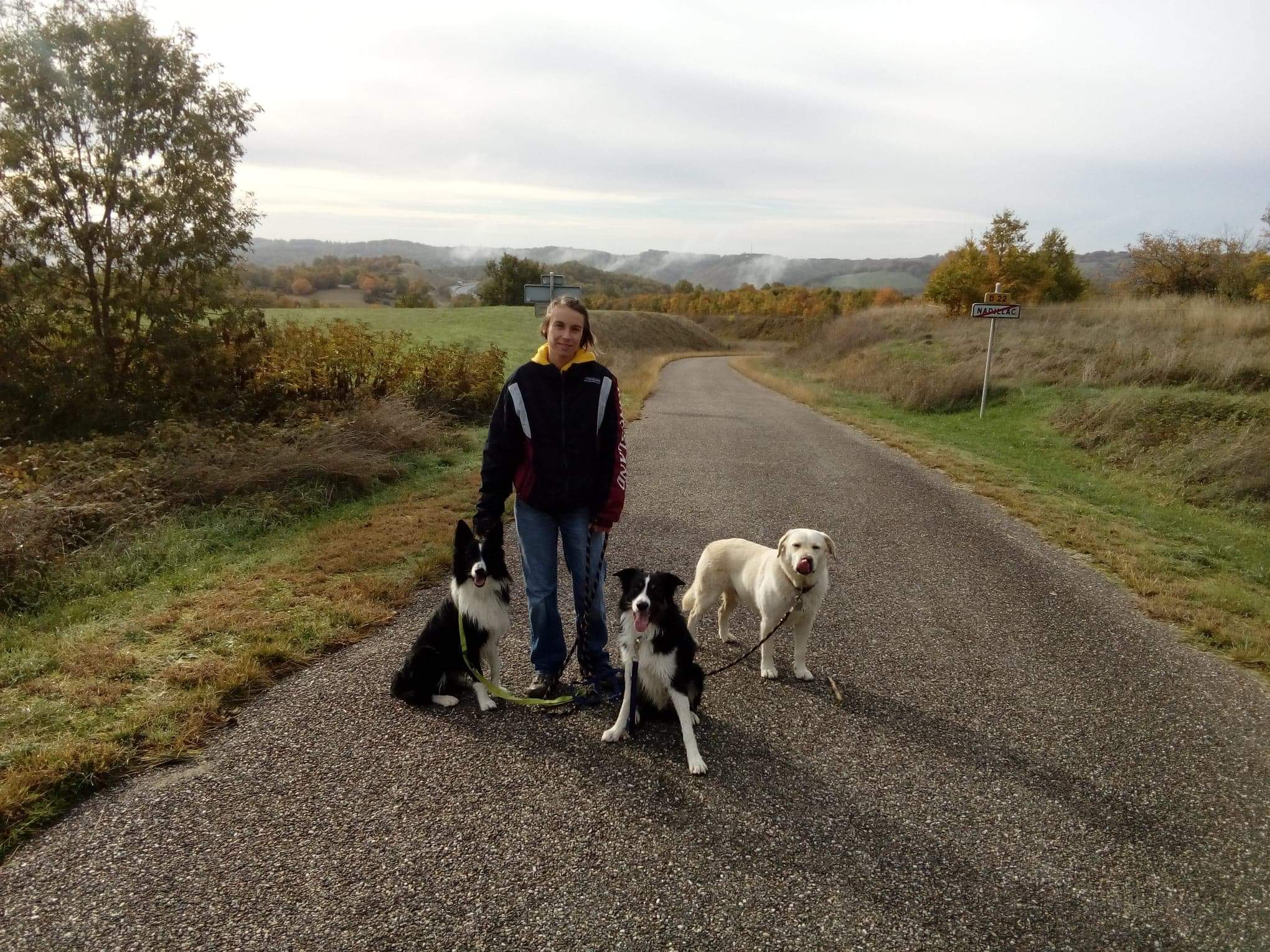 Casa Canis- Éducateur canin — photo