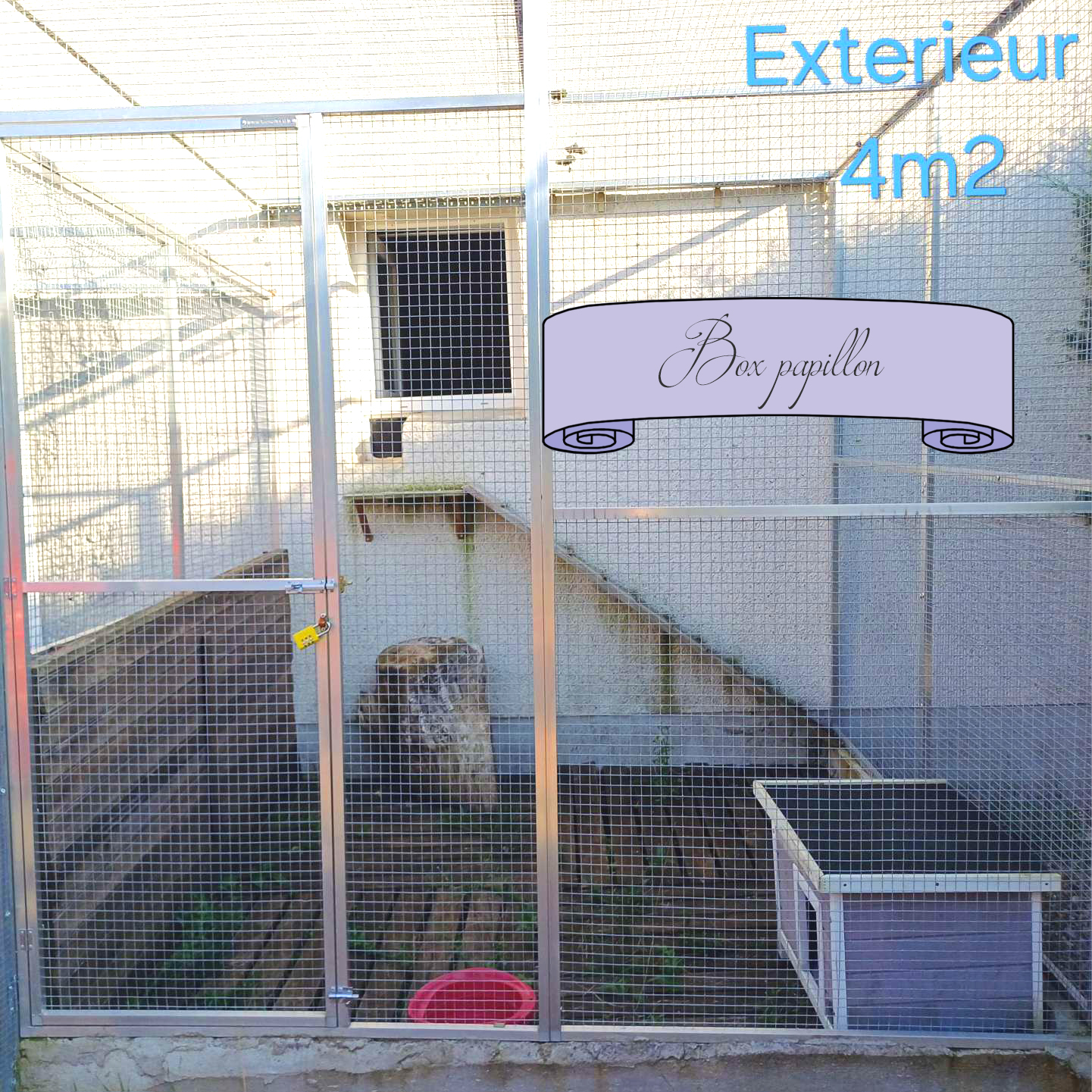 Félinpourlautre — photo