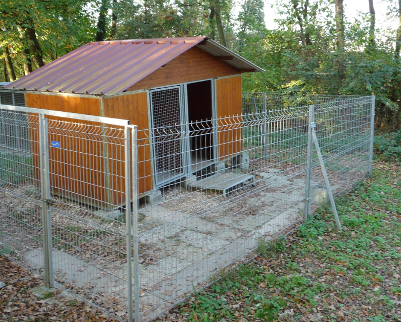 Le Chienérudit — photo