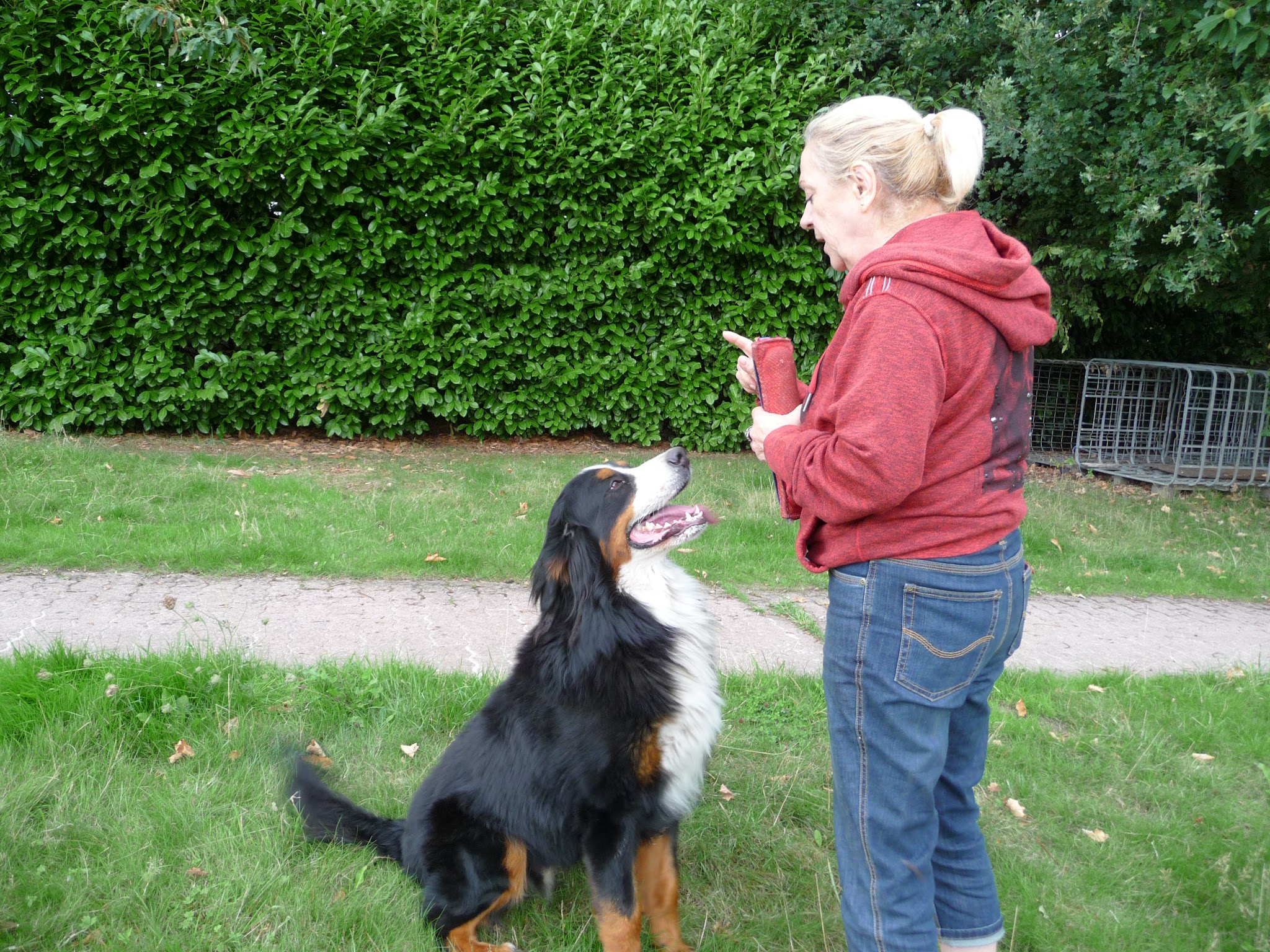Le Chienérudit — photo