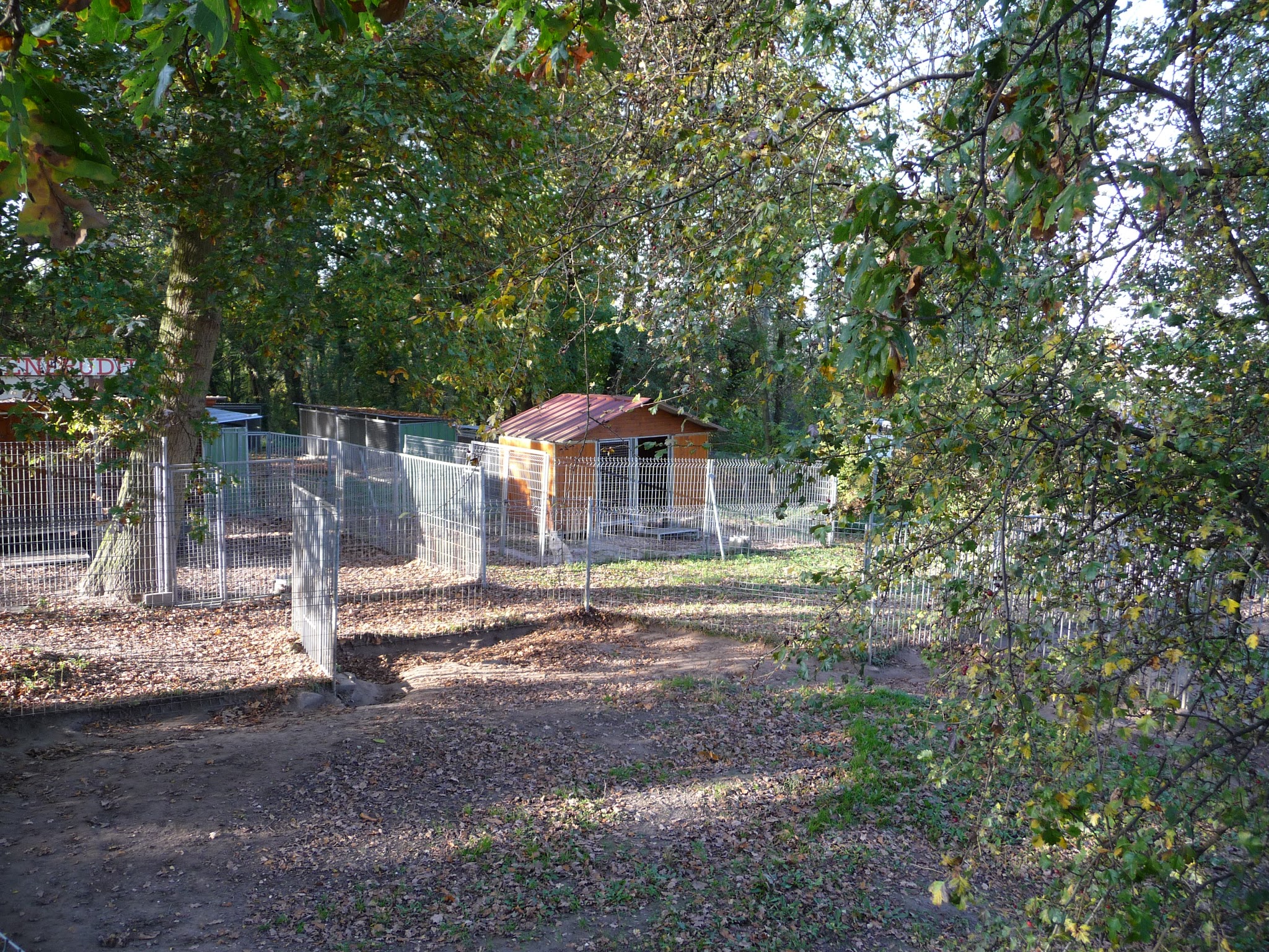 Le Chienérudit — photo