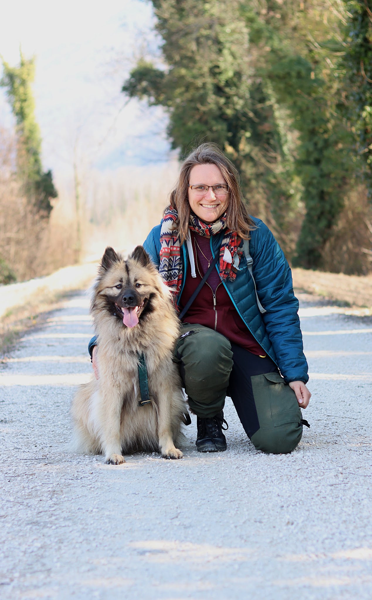 Petsitter Joyeux Compagnons - Garde à votre domicile de chats, chiens et autres animaux de compagnie - Promenade de chien — photo