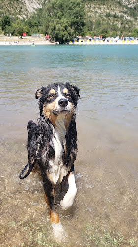 Passion Dog 04