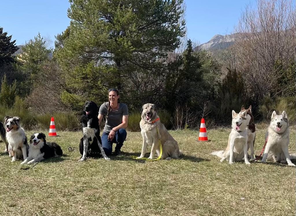 Passion Dog 04 — photo