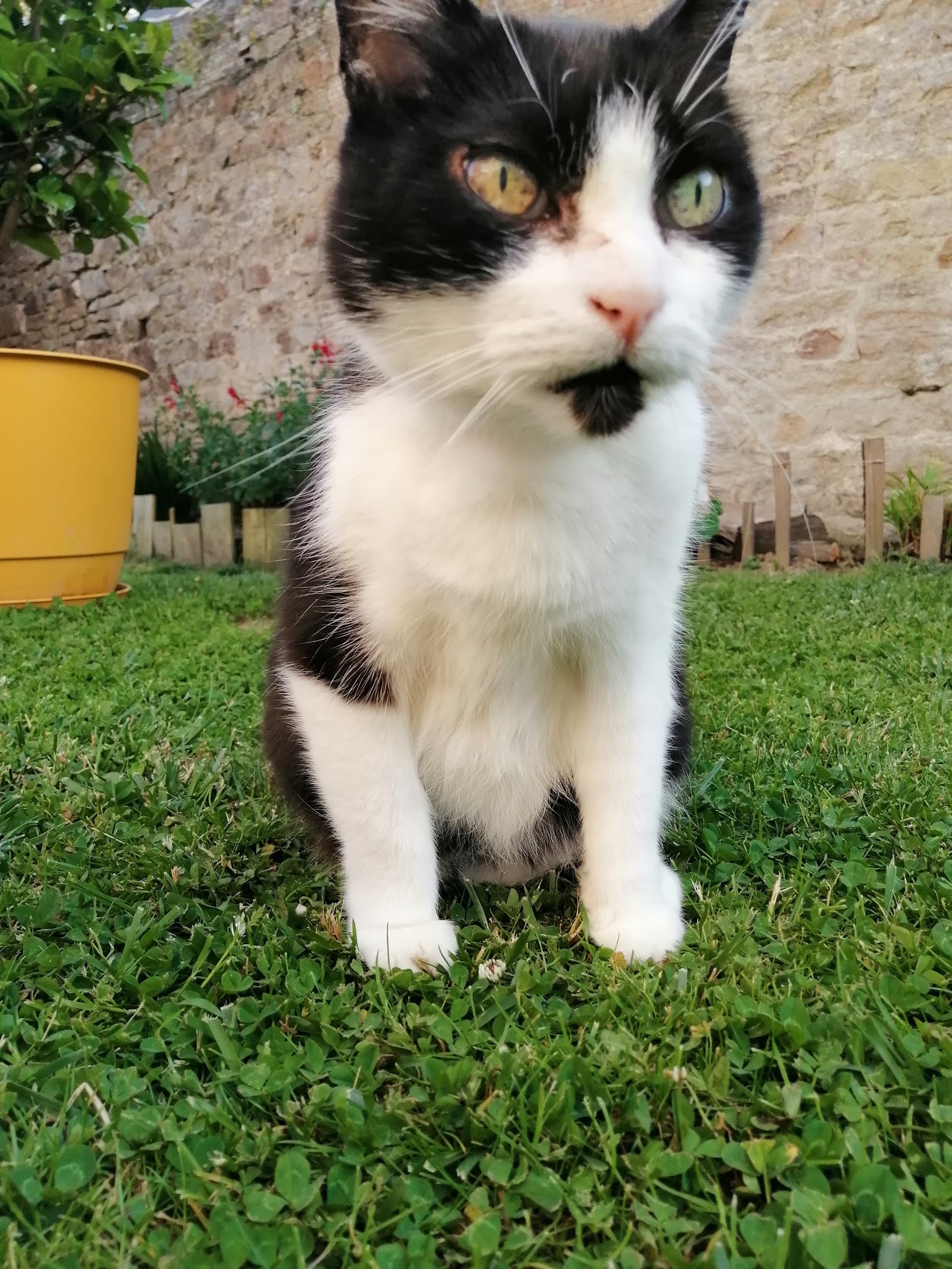 LA SMALA 56 — photo