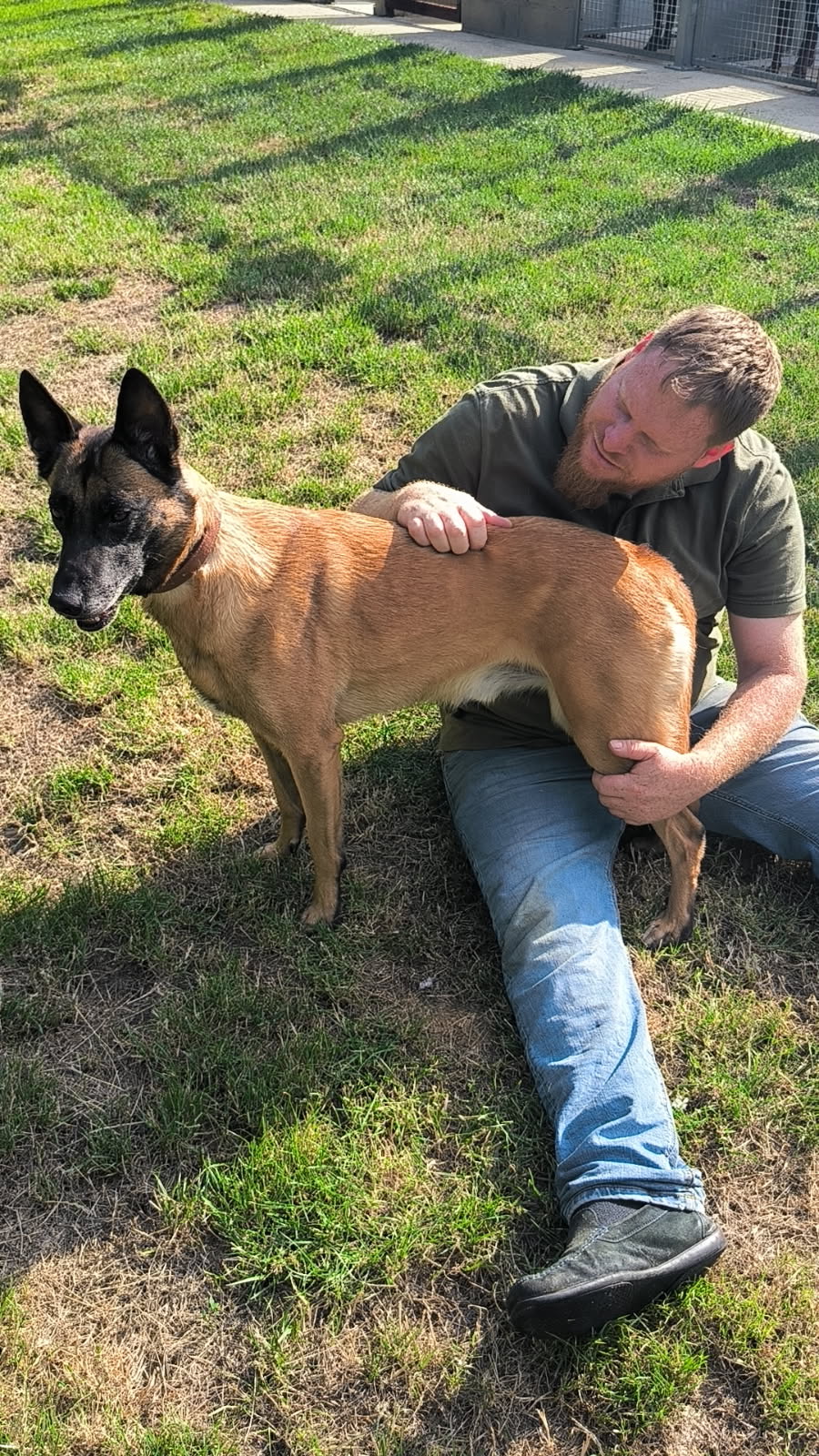 Pension canine des Hauts d'Autrêches — photo