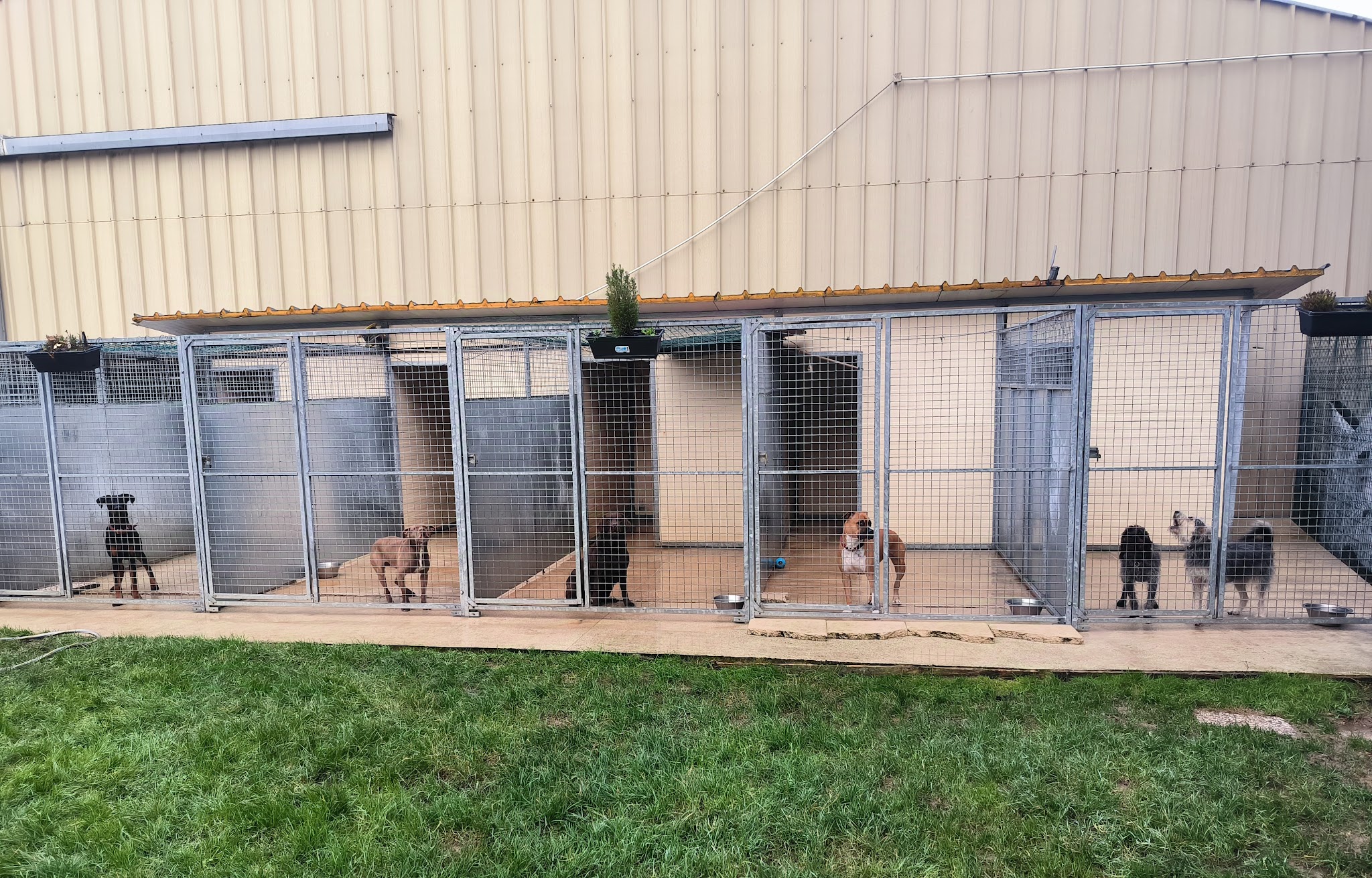 Pension canine des Hauts d'Autrêches — photo
