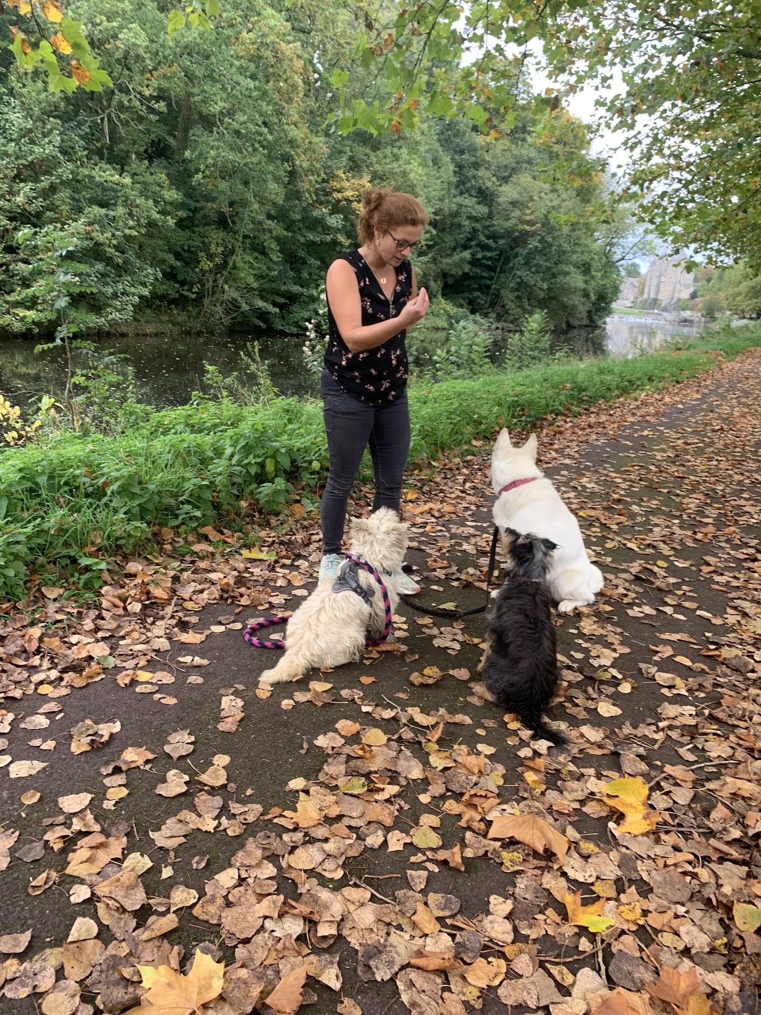 La Main à la Patte — photo